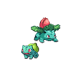 Bulbasaur, Ivysaur